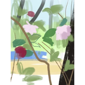 Rosal