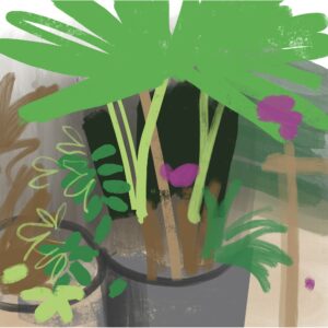 Plantapunky
